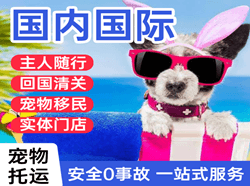 牡丹江海浪空运地址国际宠物托运 【国